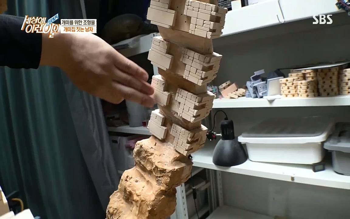 순간포착 세상에 이런일이.E1193.220816.H265p-BULDU.mp4_20220817_204239.219.jpg