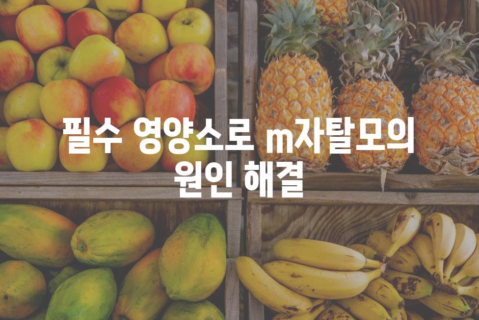 필수 영양소로 m자탈모의 원인 해결