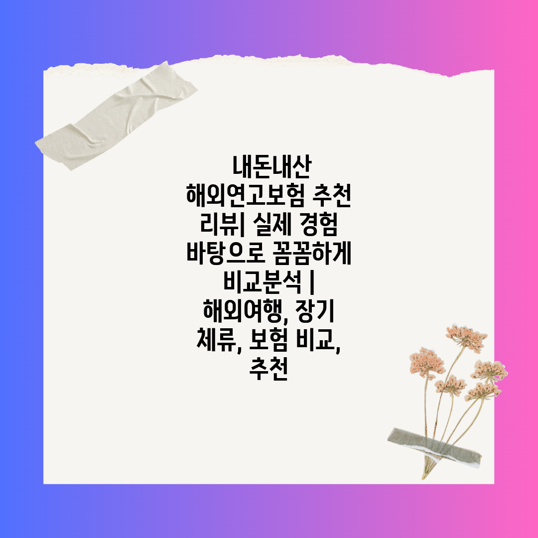  내돈내산 해외연고보험 추천 리뷰 실제 경험 바탕으로 