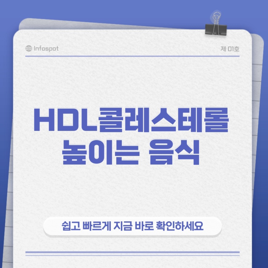 HDL음식