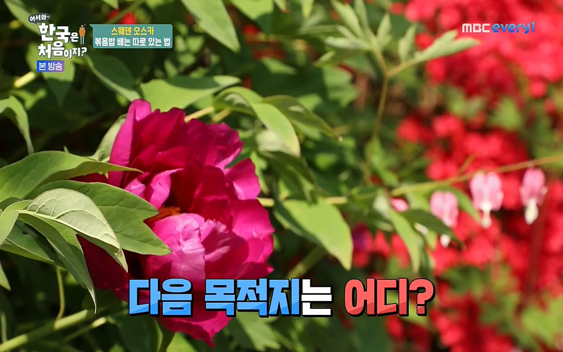 어서와 한국은 처음이지 시즌2.E215.220617p-NEXT.mp4_20220617_202632.416.jpg