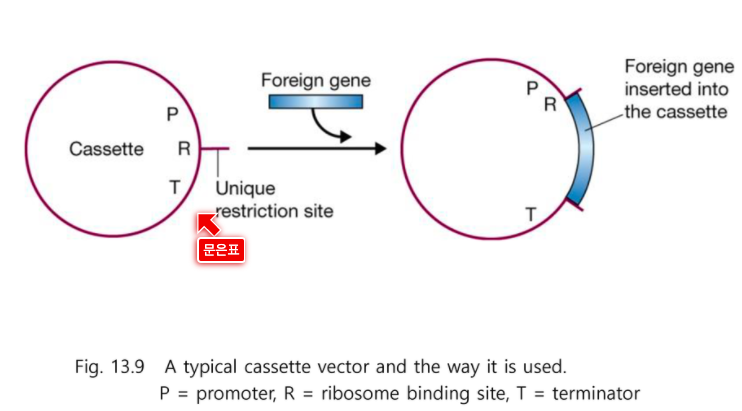 article thumbnail image