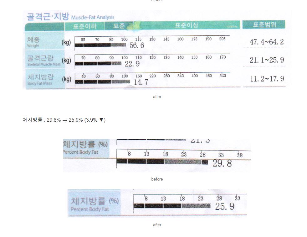  PT 없이 혼자 운동 : 헬스장 한 달 후기·루틴·식단·인바디 전후 비교