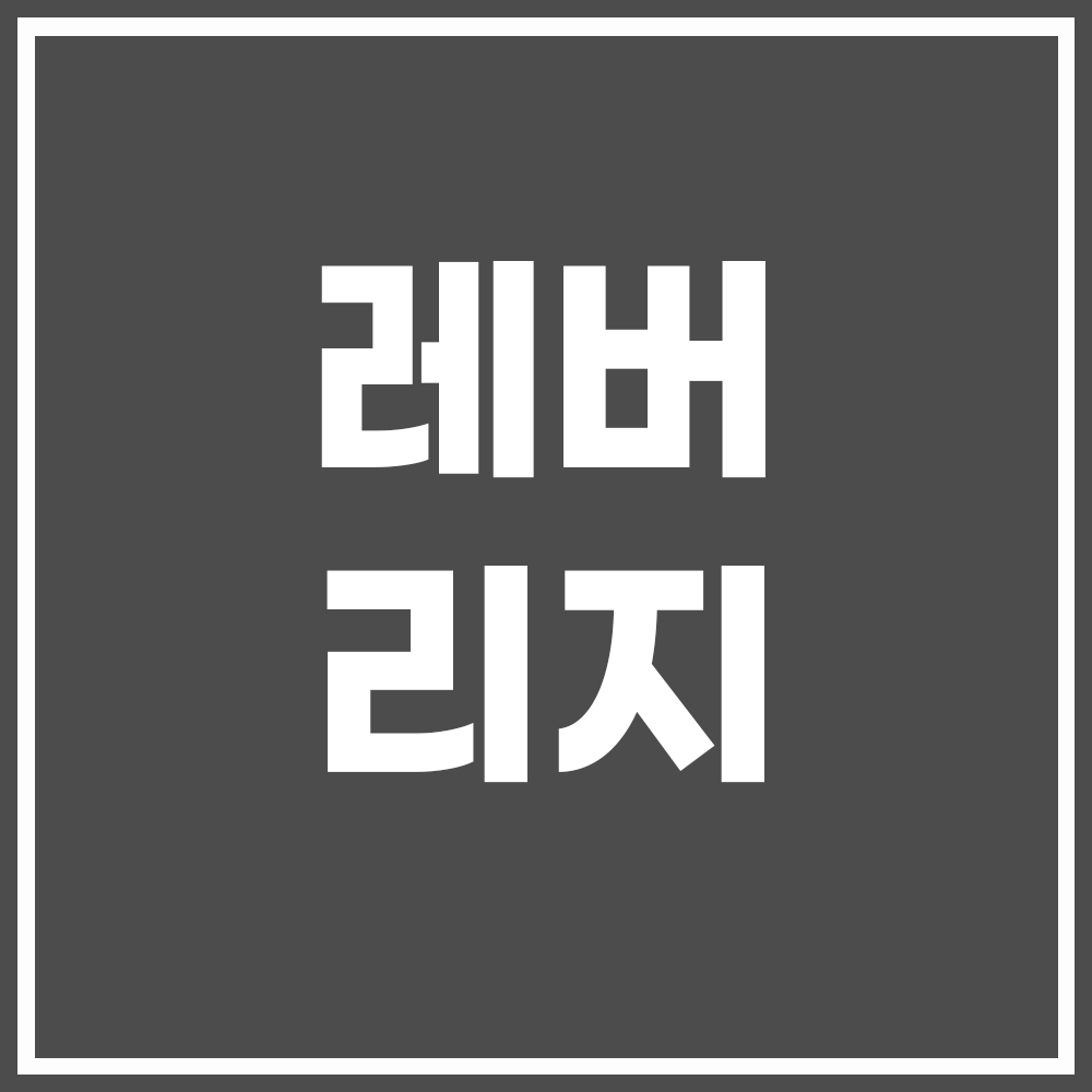 썸네일 : 레버리지