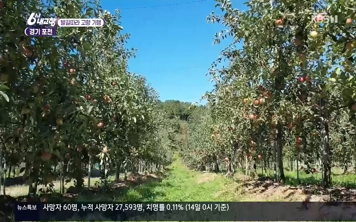 6시 내고향.E7617.220915p.H264-F1RST.mp4_20220916_213108.149.jpg