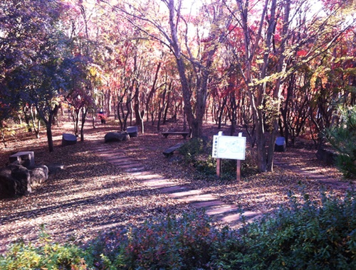 전주 가볼만한곳