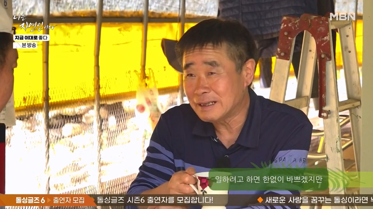 나는 자연인이다.E605.240516p-NEXT.mp4_20240516_194546.239.jpg