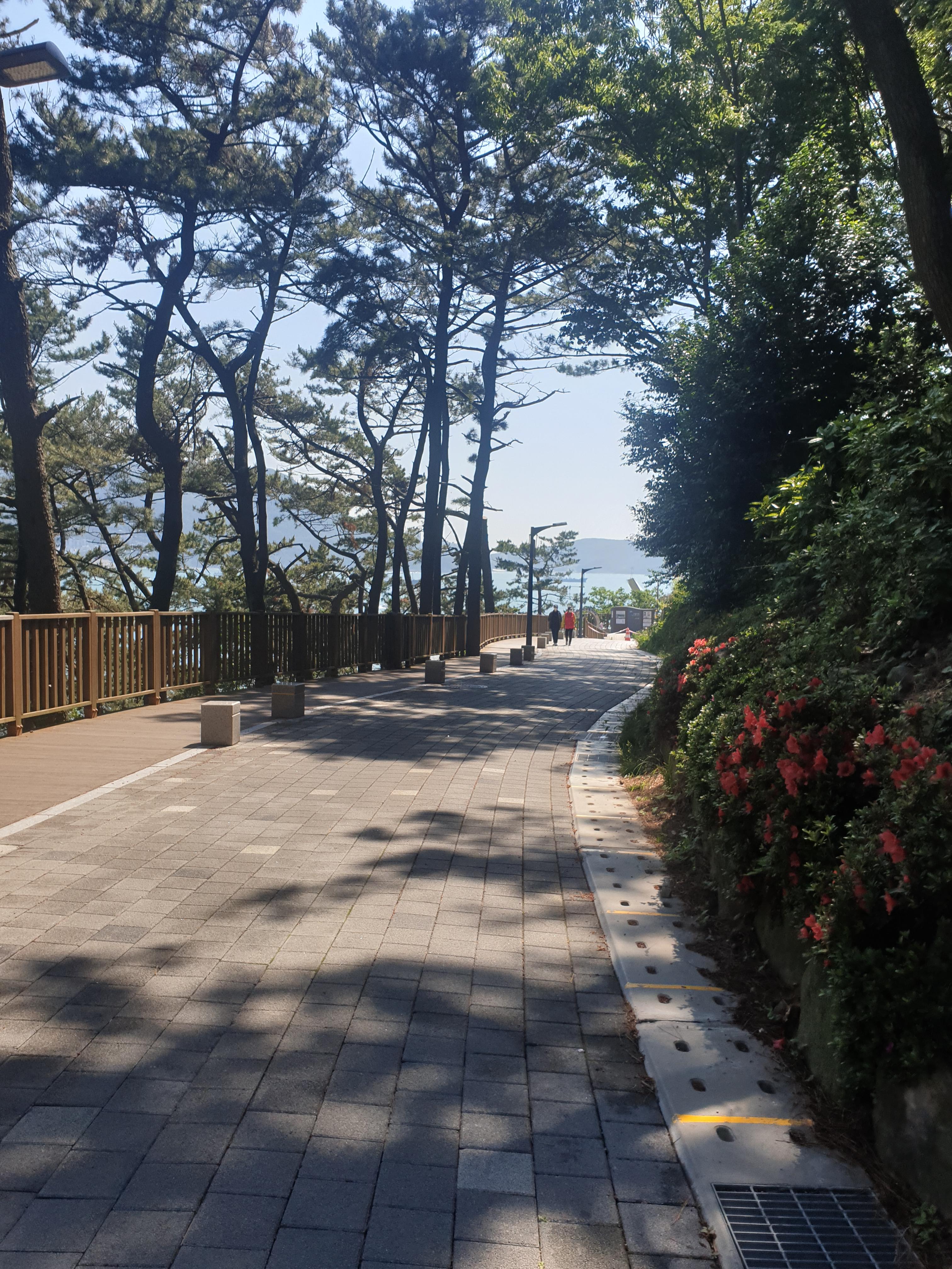 부산 송도해수욕장 송도 해상케이블카 예매 할인 주차장 이용안내