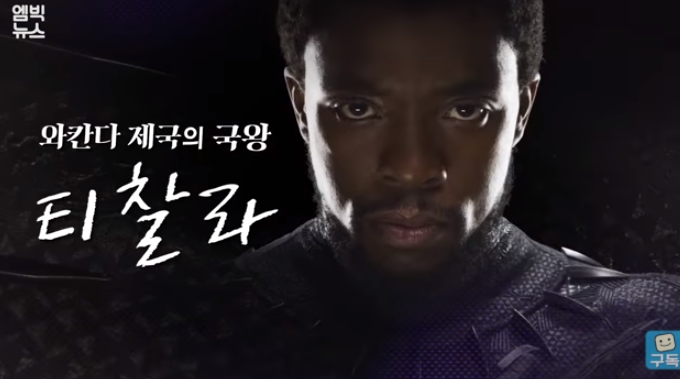  채드윅 보스만 블랙팬서 대장암 사망 추모