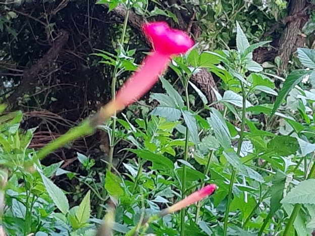 img.jpg