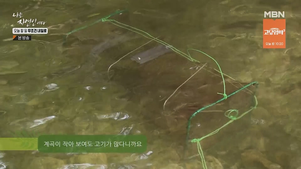 나는 자연인이다.E562.230712p.H264-F1RST.mp4_20230713_204723.462.jpg