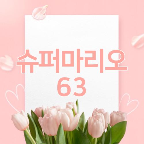 슈퍼마리오63