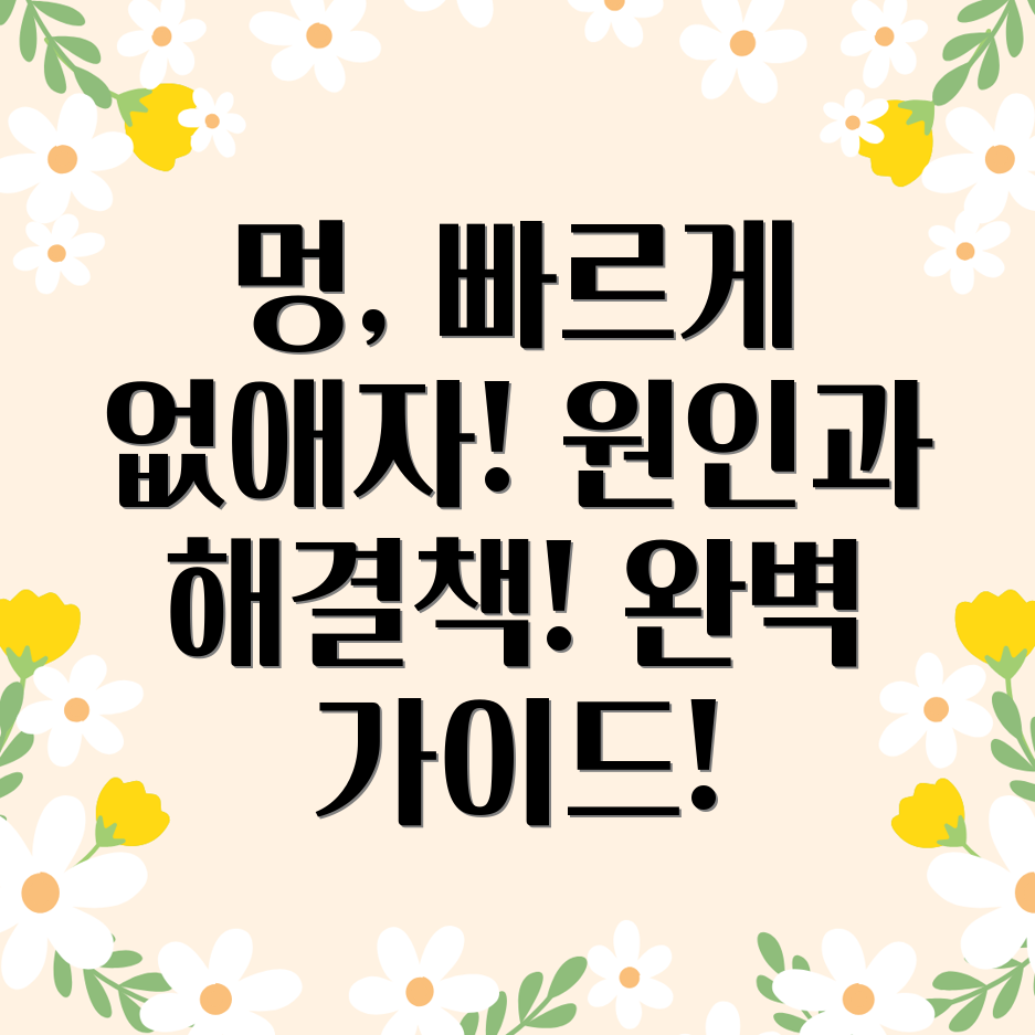 멍 제거