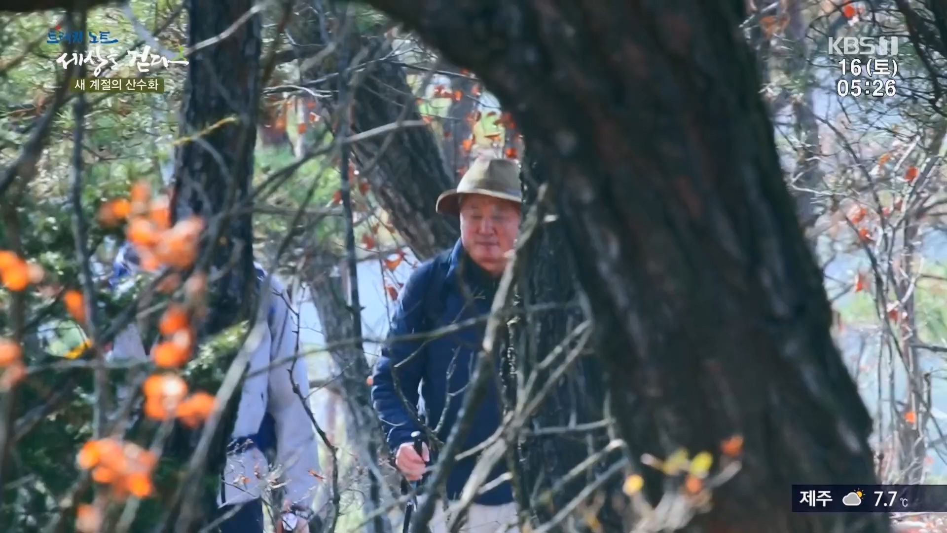 트레킹노트 세상을 걷다.E299.231216p.H264-F1RST.mp4_20240131_200353.504.jpg