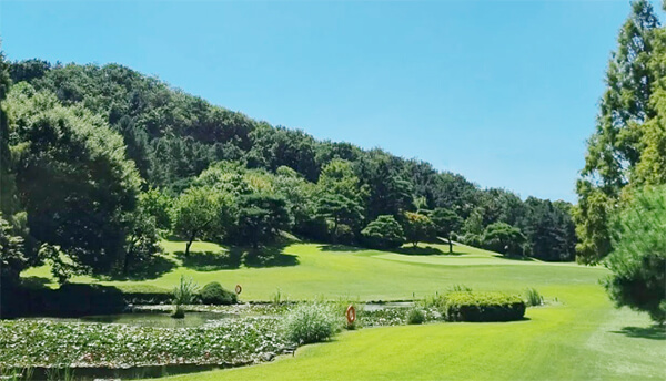 블루원용인컨트리클럽