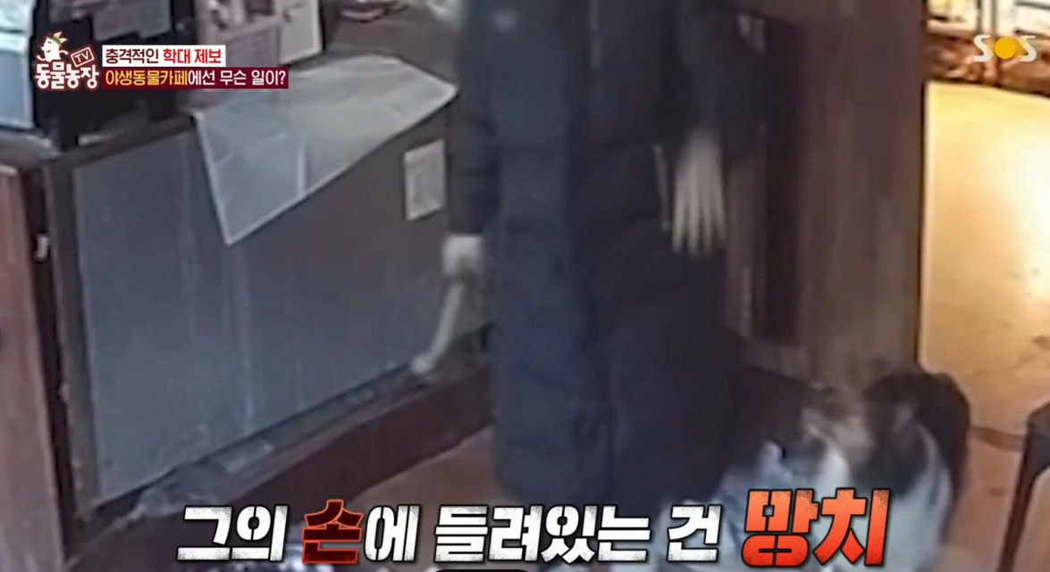  동물농장 야생동물카페 학대사건