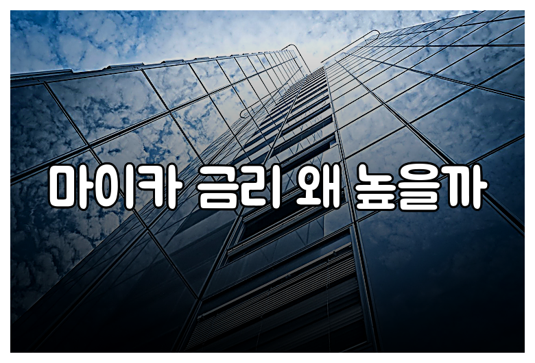 마이카 금리 왜 높을까