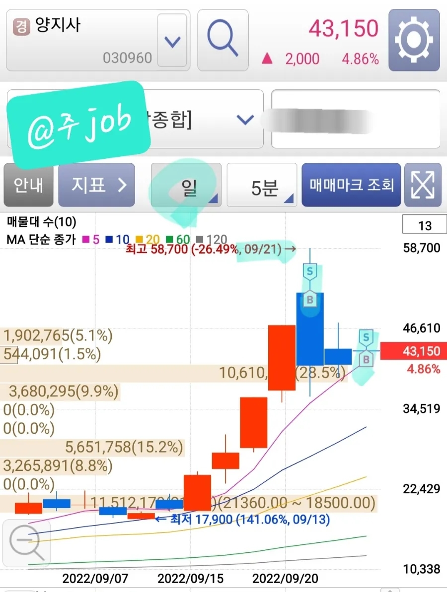 양지사 일봉 매매 차트