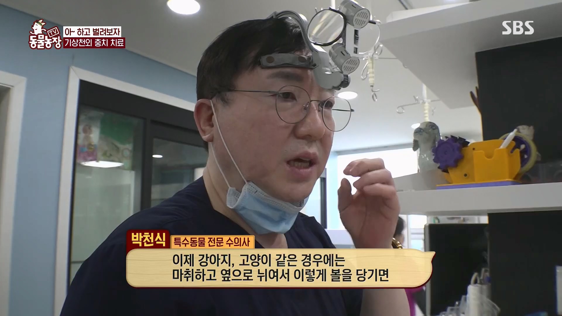 TV 동물농장.E1120.230514p.H264-F1RST.mp4_20230515_203534.666.jpg