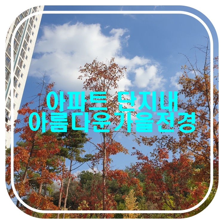  아파트단지내예쁜 가을 풍경과 커피한잔(ft. 찹쌀핫도그, 팥도너츠)