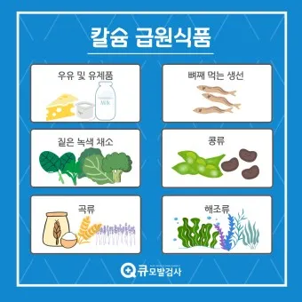 칼슘 영양제 종류 섭취시간 섭취방법_9