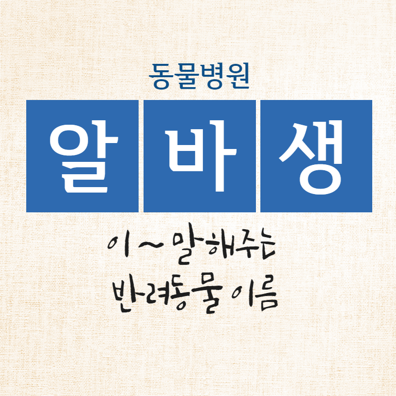  동물병원 알바생이 말해주는 반려동물 이름