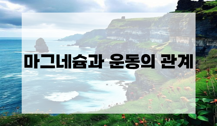 6. 마그네슘과 운동의 관계