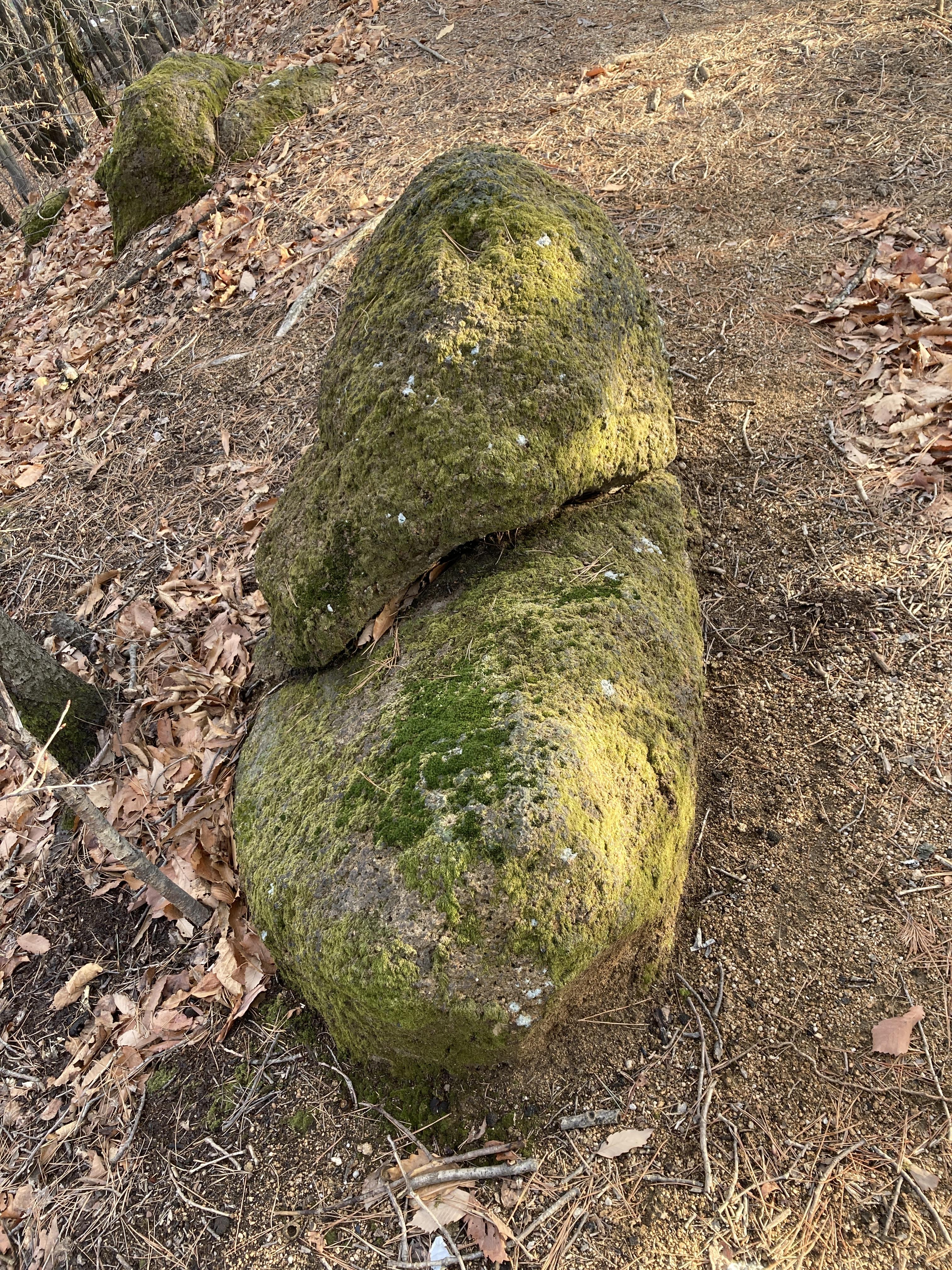 시원하고 바삭바삭 18