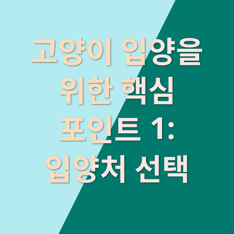 인천 고양이 입양_1