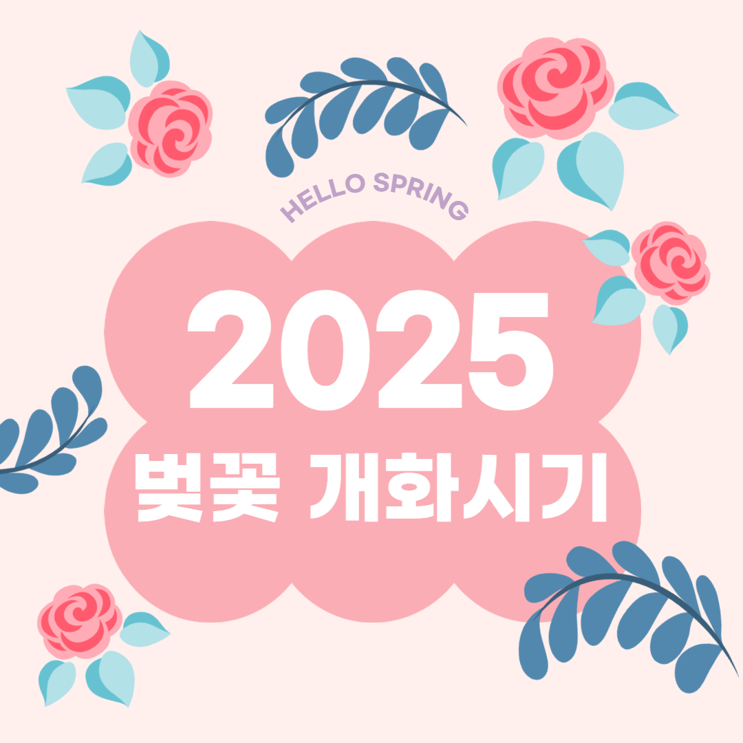 벚꽃이미지