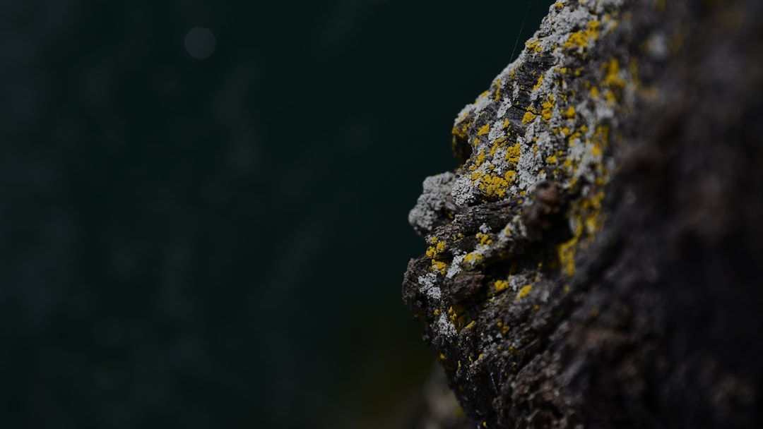 DeepTech