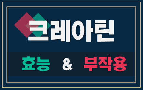  크레아틴 효능과 섭취방법, 부작용, 제품추천