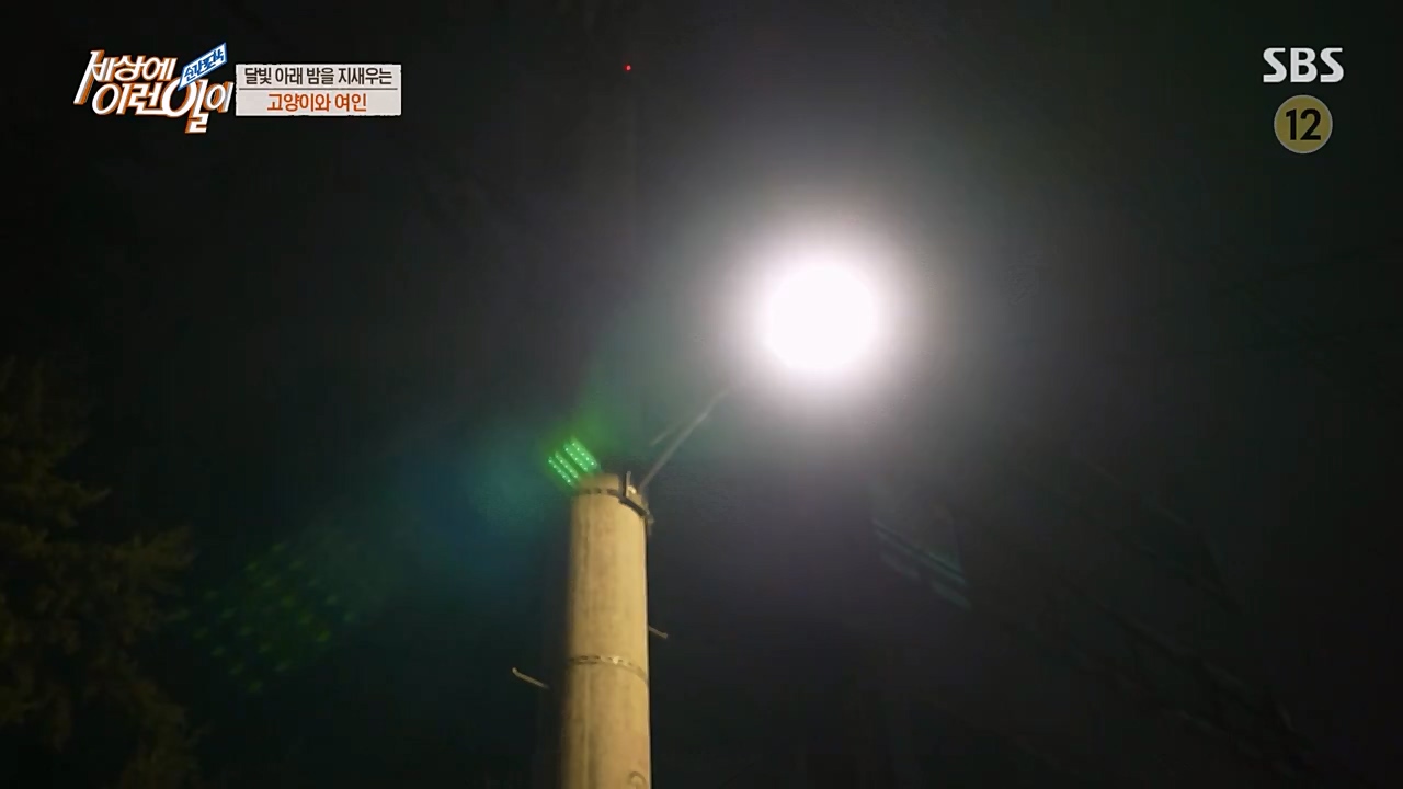 순간포착 세상에 이런일이.E1223.230329p-NEXT.mp4_20230329_192703.229.jpg