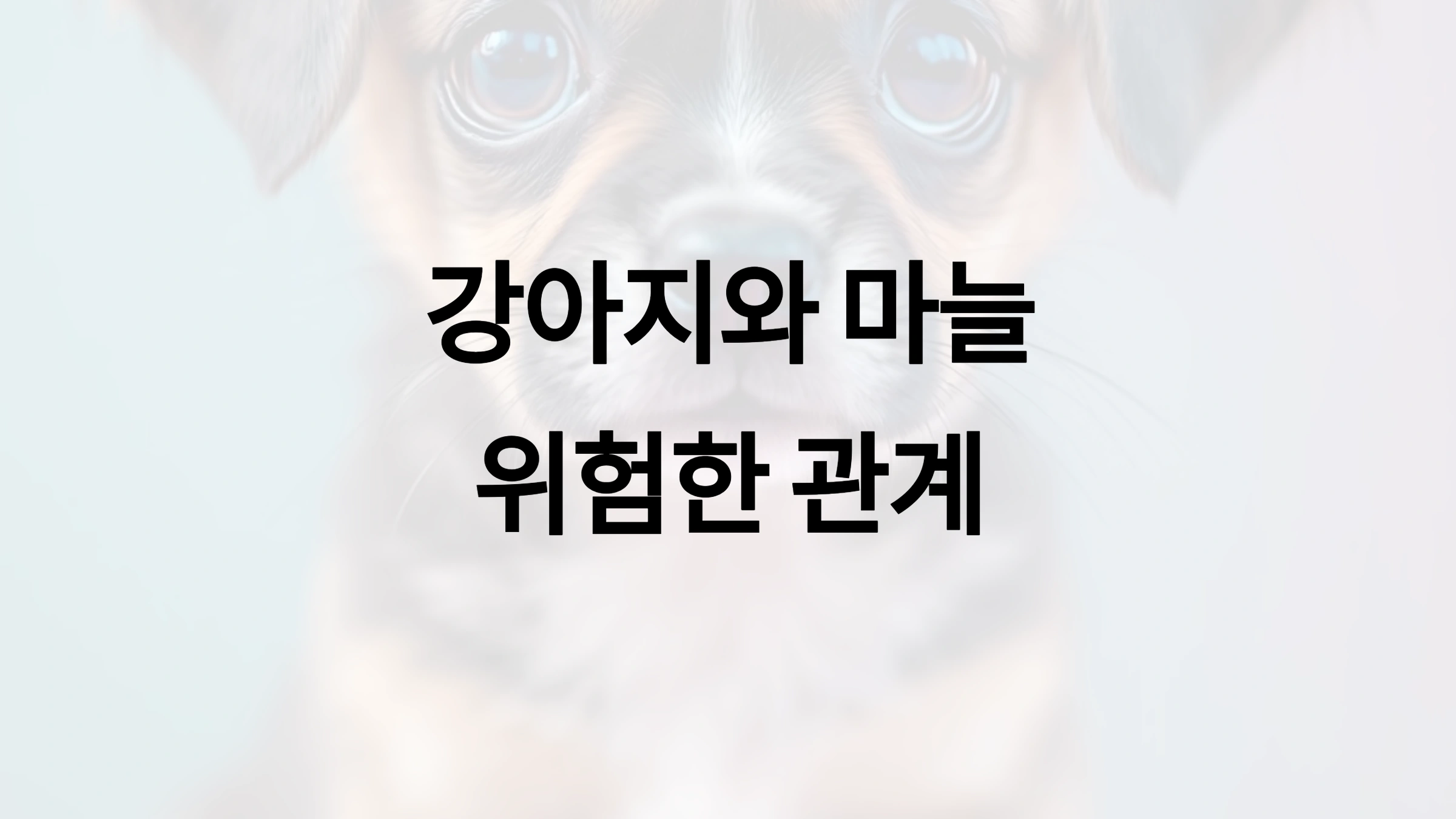 마늘 섭취 후 나타나는 위험한 효과