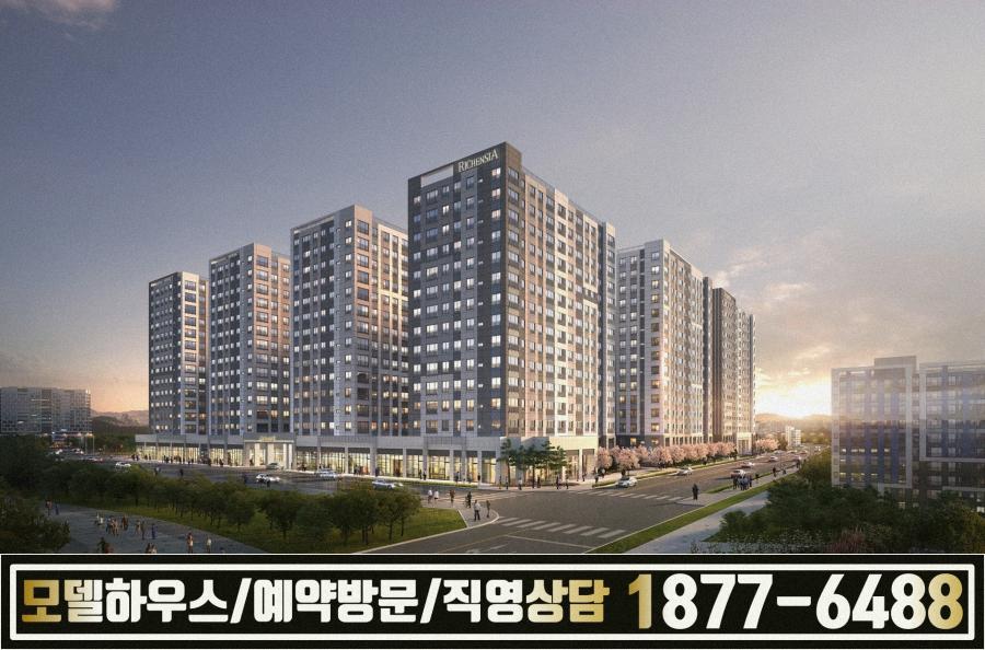 금호 이미지