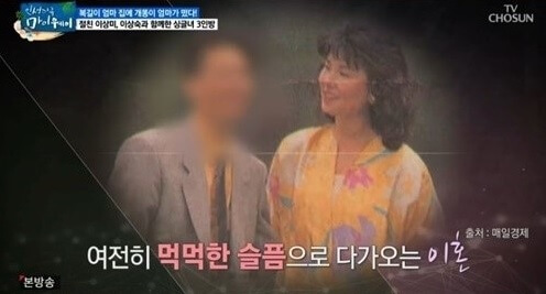 배우-김혜정-전남편-황청원-이혼