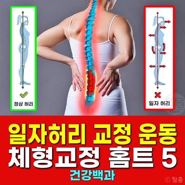 일자허리 교정 운동 체형교정 홈트레이닝