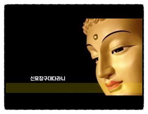  불교: "신묘장구대다라니"