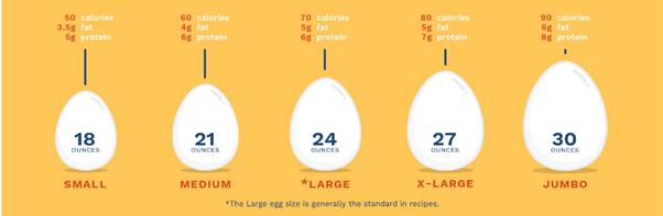 계란의 크기에 따른 분류