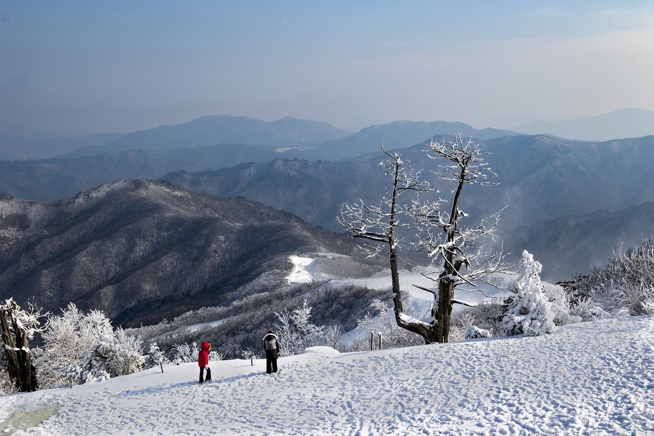 강원도 산골 마을, 최근 5년간 출생신고 ‘0’