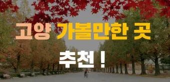고양 가볼만한곳 베스트10 현지인 추천 필수코스_39