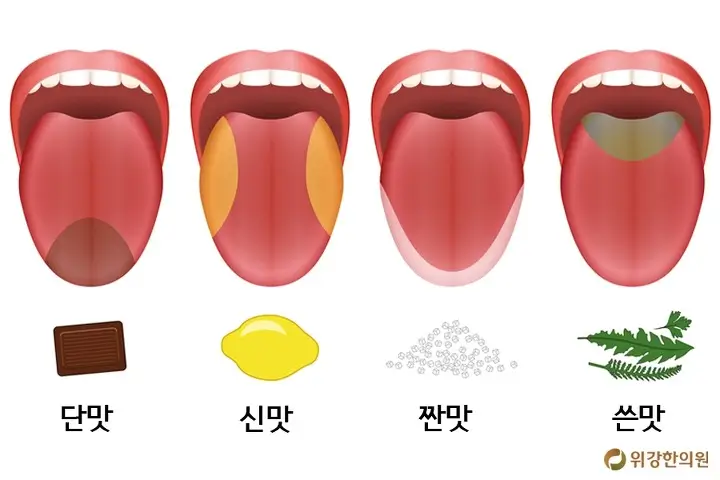 약물로 인한 미각 상실