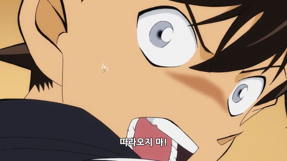 부지런한개미 이미지