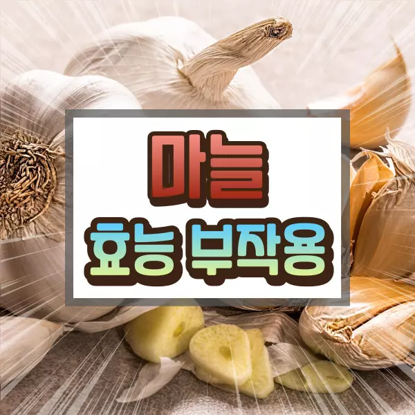 마늘 효능 부작용에 대하여