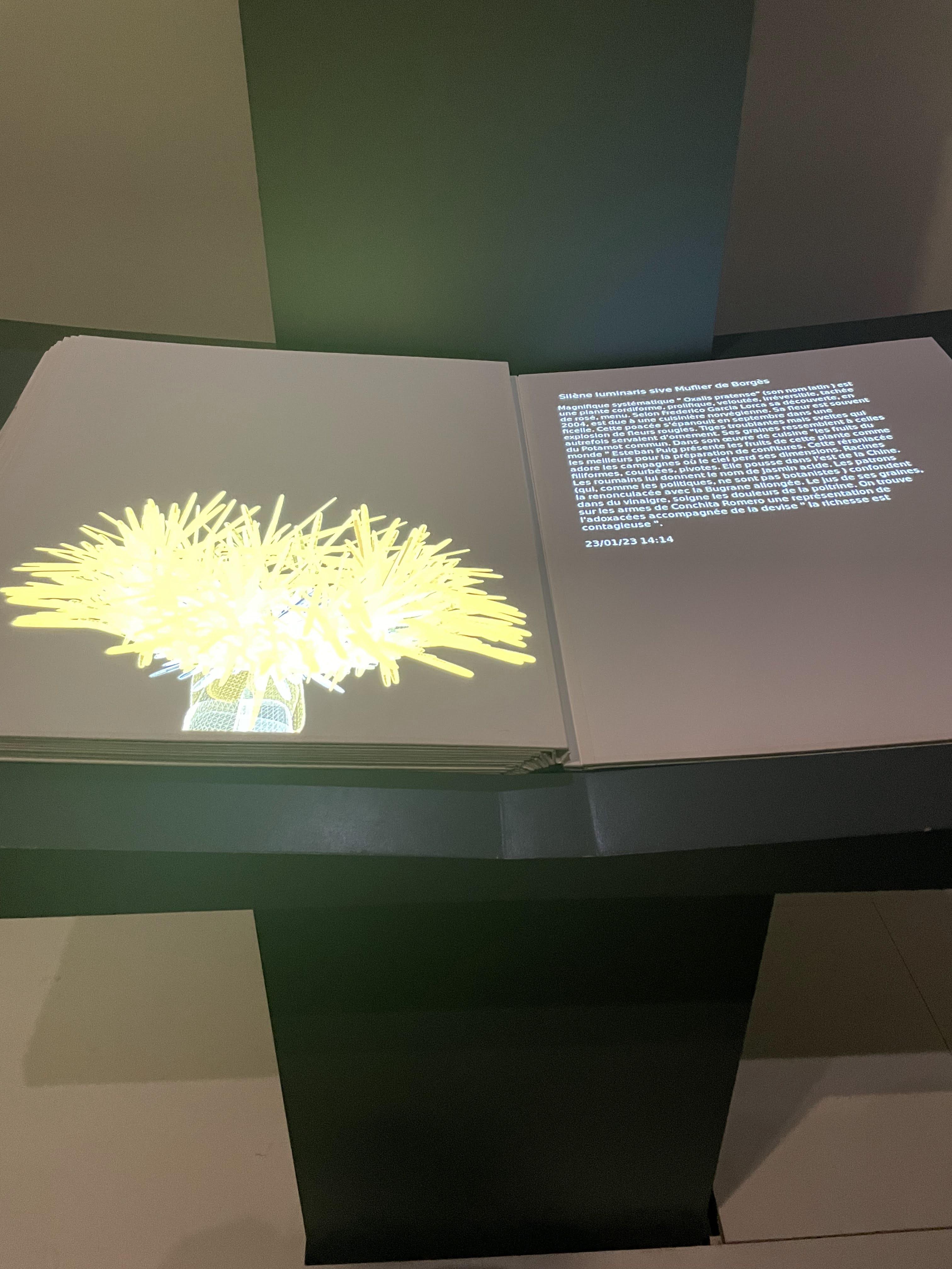 사물들, 루브르박물관 전시회, 24