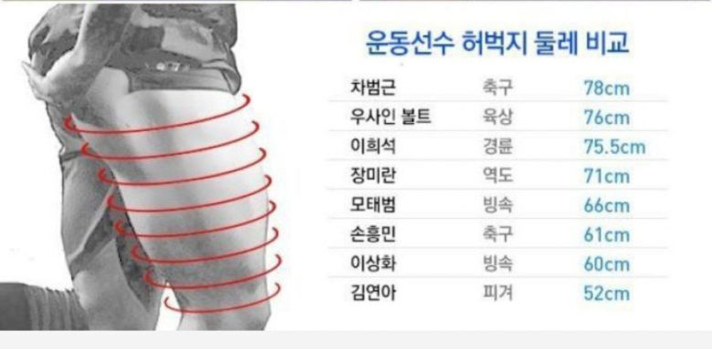 운동선수 허벅지 둘레