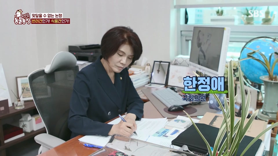 TV 동물농장.E1129.230716p.H264-F1RST.mp4_20230716_183646.268.jpg