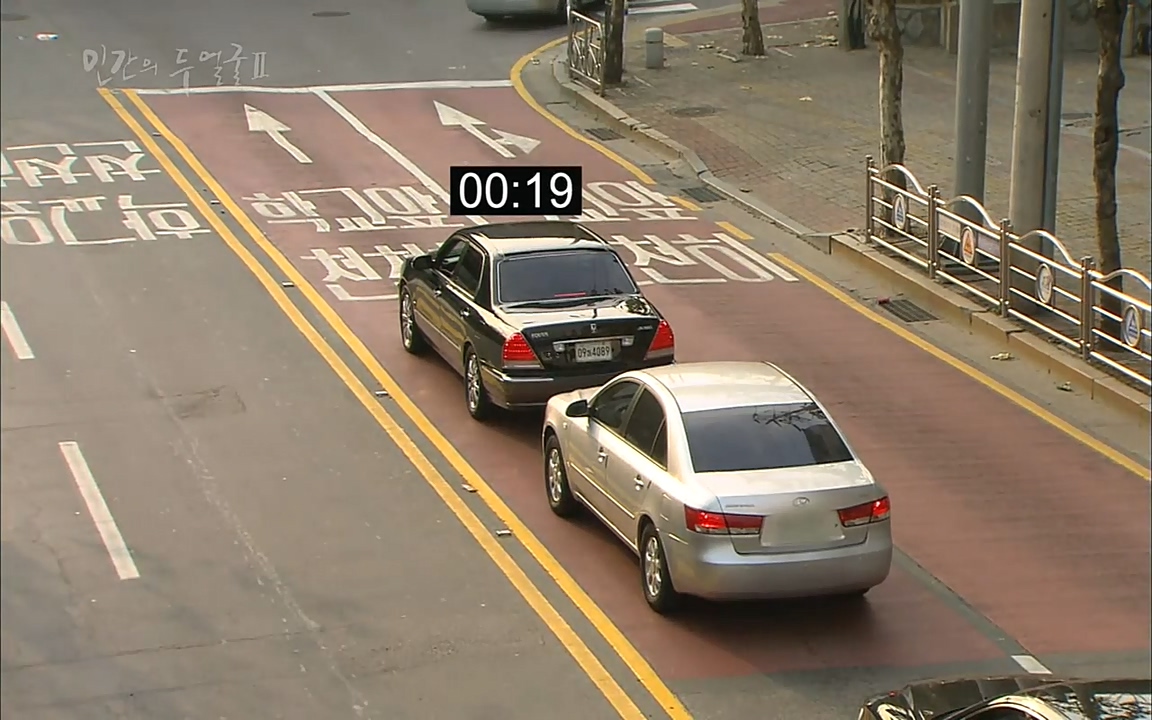 EBS 다큐프라임 - Docuprime, 인간의 두 얼굴2 제2부 아름다운 세상.mp4_20220608_205326.815.jpg