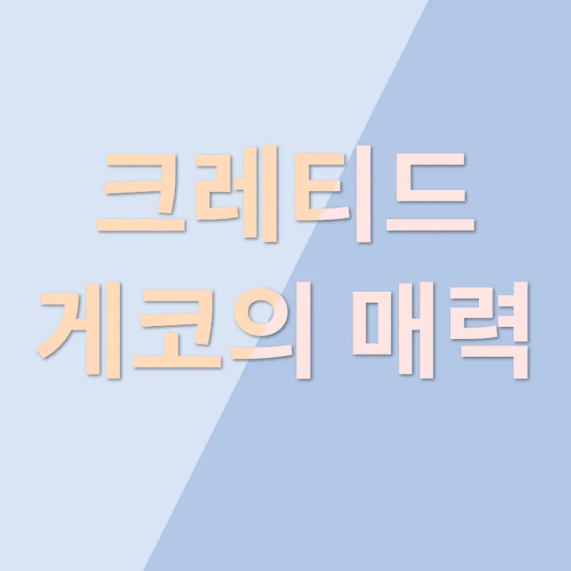 크레티드 게코 키우기_1