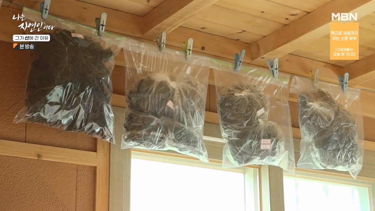 나는 자연인이다.E575.231012p-NEXT.mp4_20231012_201000.978.jpg